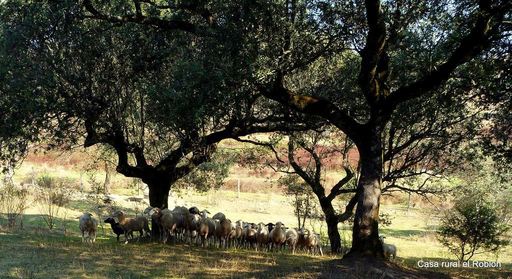 Casa Rural El Roblon Sartajada Bagian luar foto