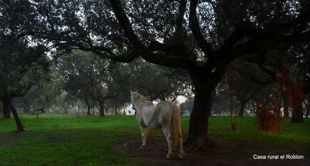 Casa Rural El Roblon Sartajada Bagian luar foto