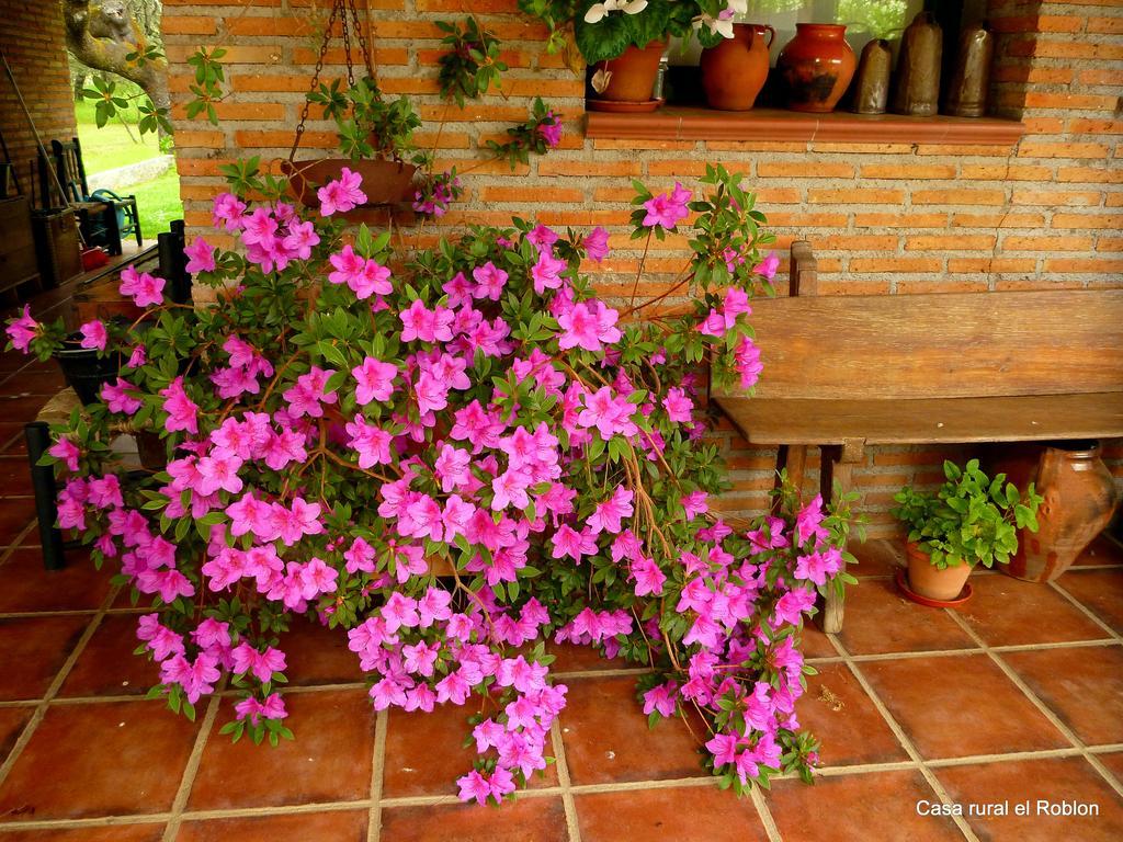 Casa Rural El Roblon Sartajada Bagian luar foto